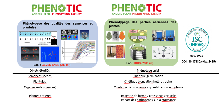 Description PHENOTIC